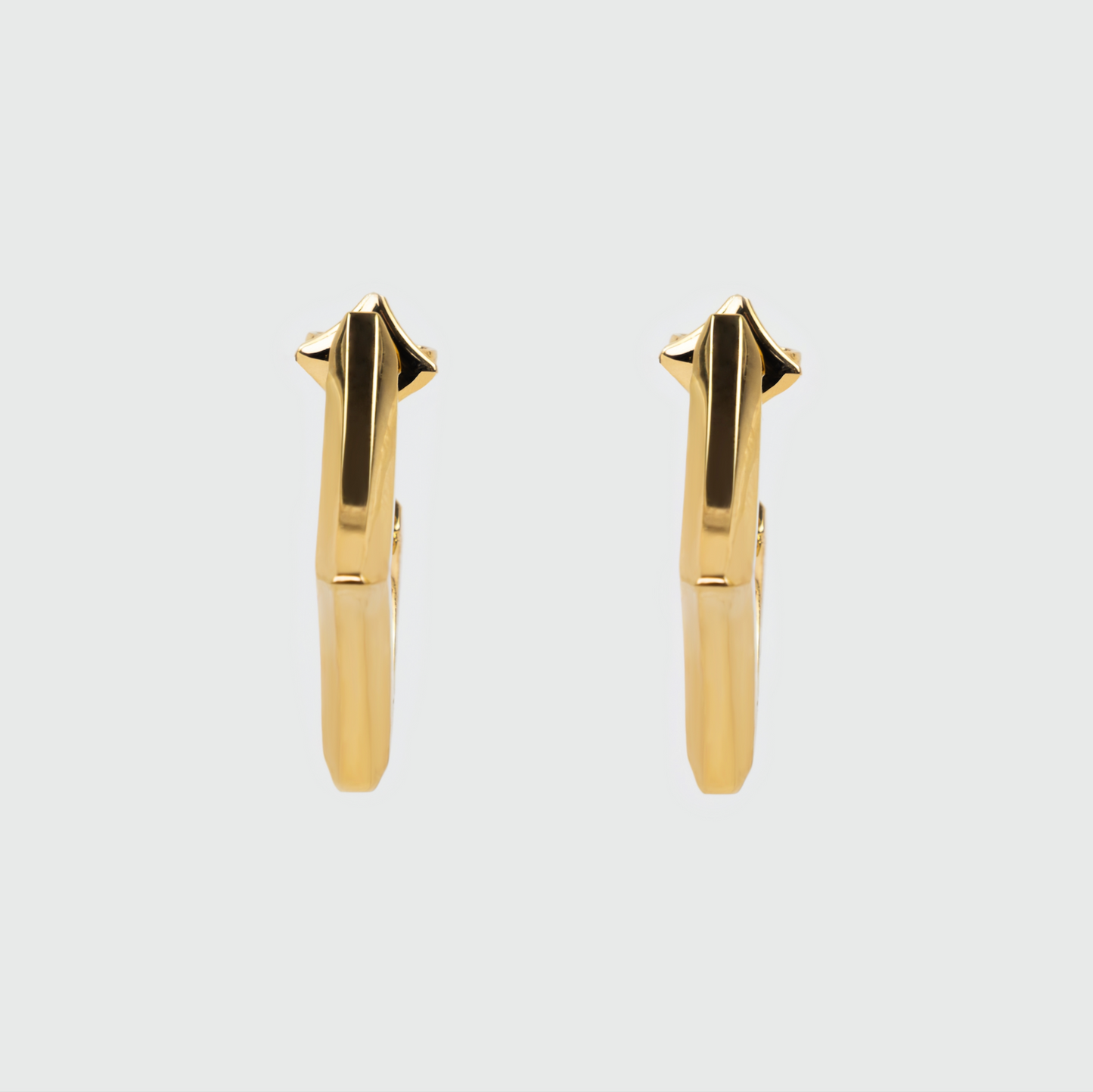 Hoop Earring