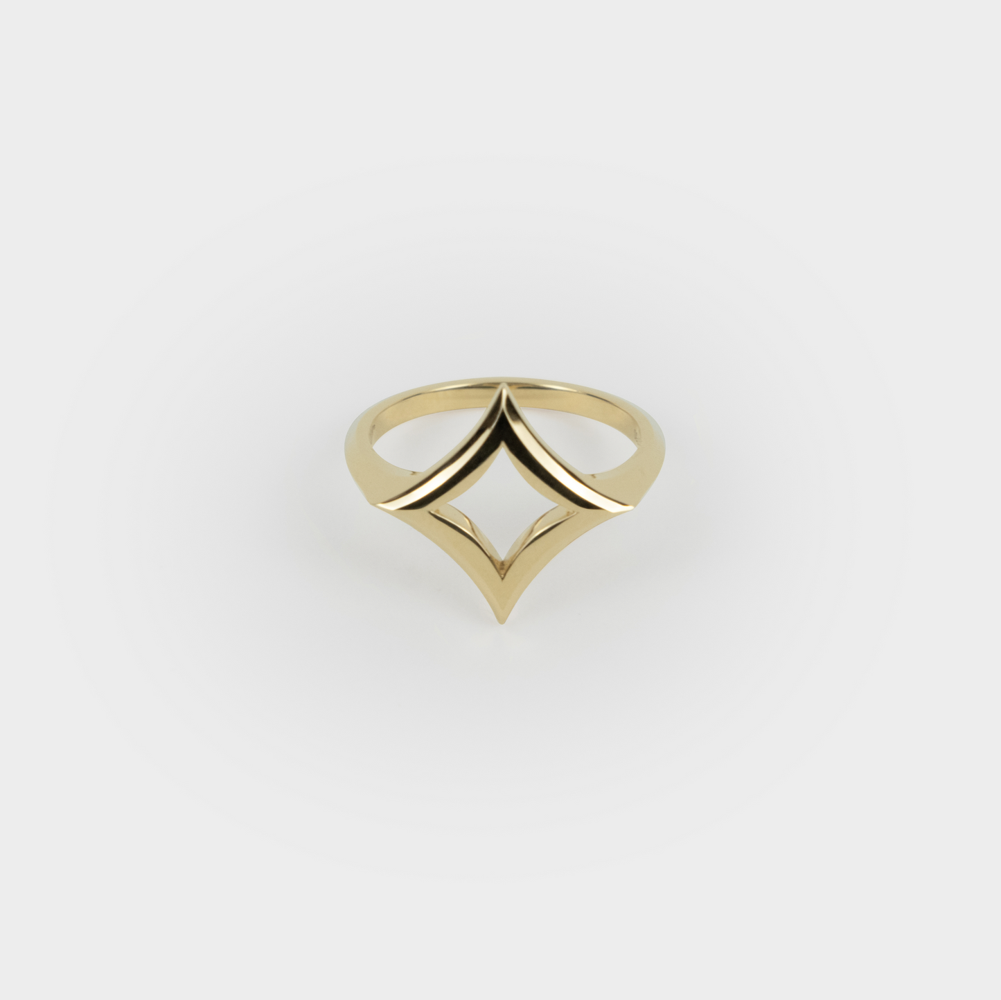 ring one piece