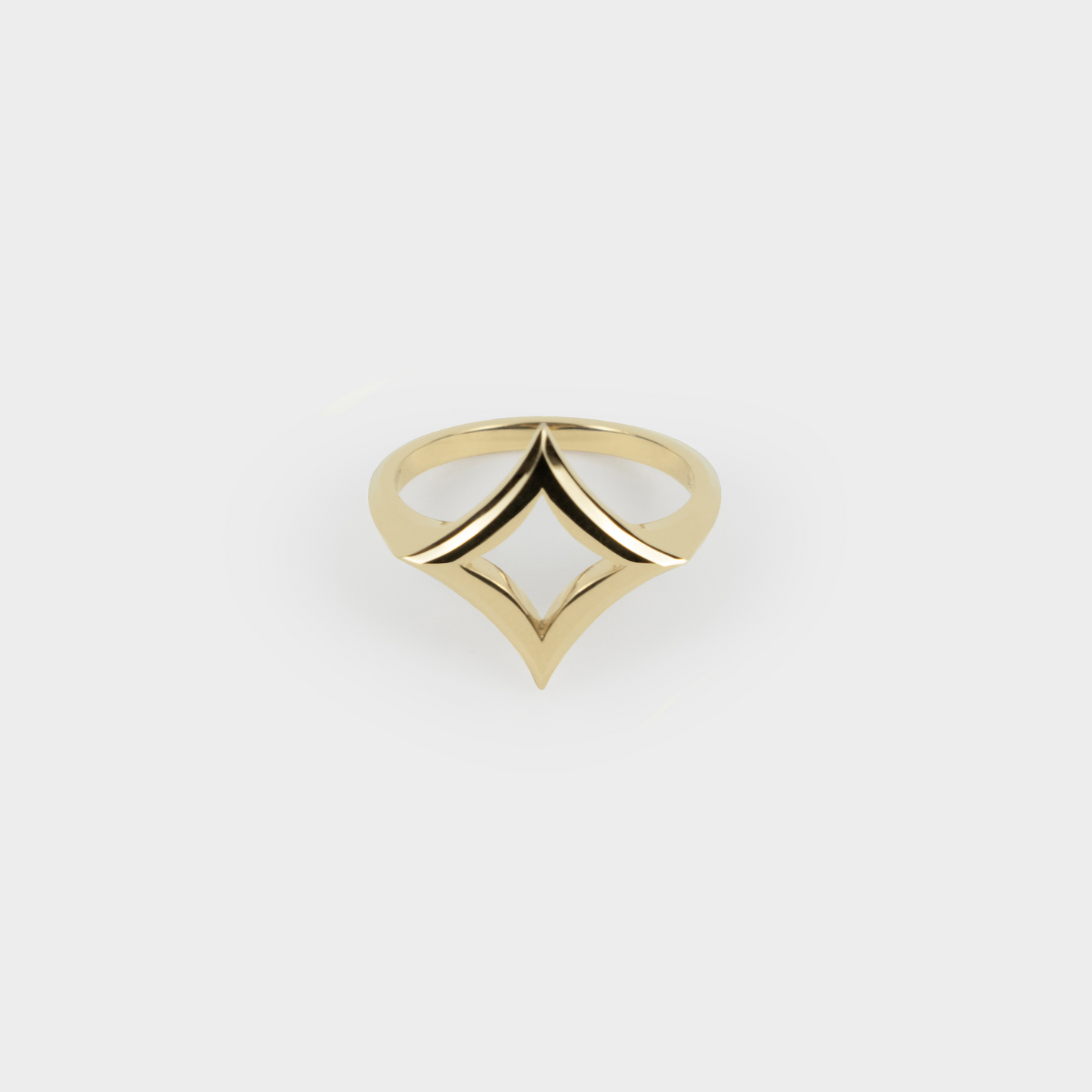 ring one piece